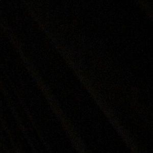 Meet your Posher, Shane